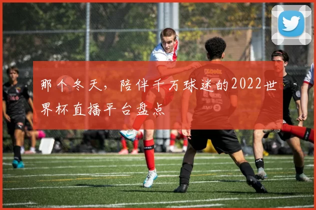 那个冬天，陪伴千万球迷的2022世界杯直播平台盘点
