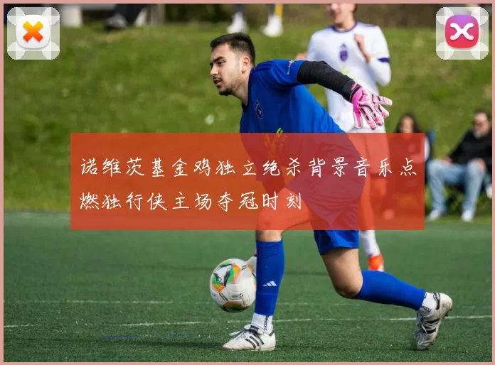 诺维茨基金鸡独立绝杀背景音乐点燃独行侠主场夺冠时刻