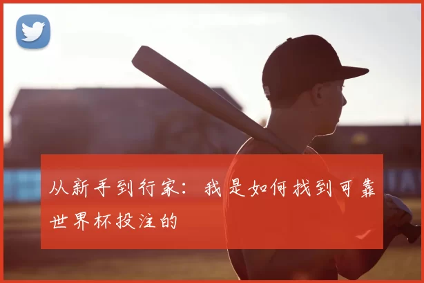从新手到行家:我是如何找到可靠世界杯投注的