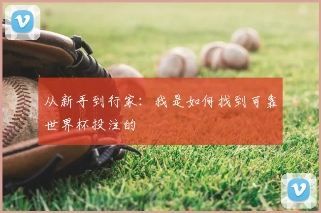 从新手到行家:我是如何找到可靠世界杯投注的