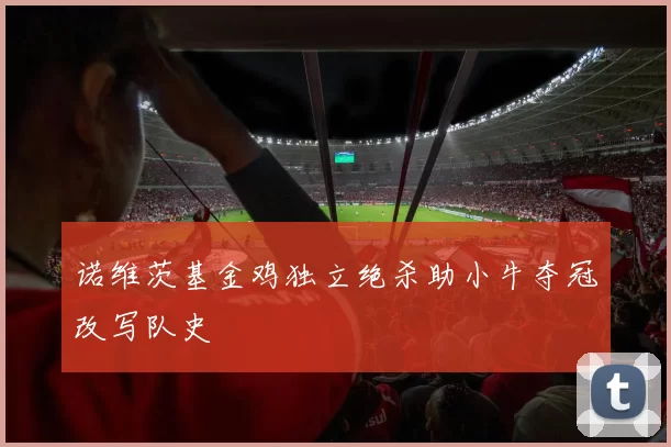 诺维茨基金鸡独立绝杀助小牛夺冠改写队史