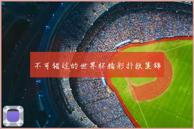 不可错过的世界杯精彩扑救集锦