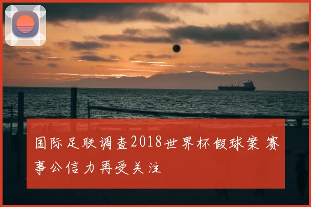 国际足联调查2018世界杯假球案 赛事公信力再受关注