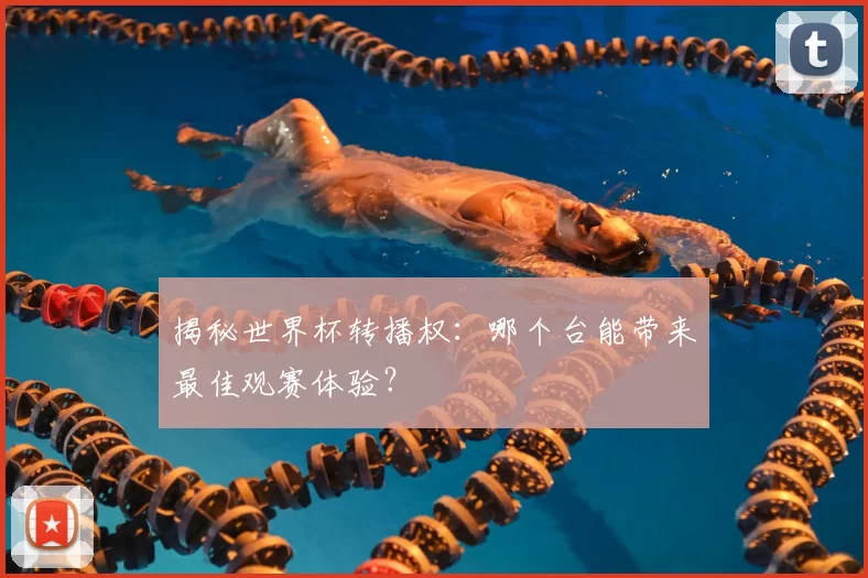 揭秘世界杯转播权:哪个台能带来最佳观赛体验?