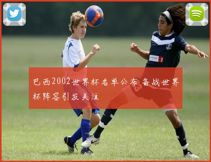 巴西2002世界杯名单公布 备战世界杯阵容引发关注