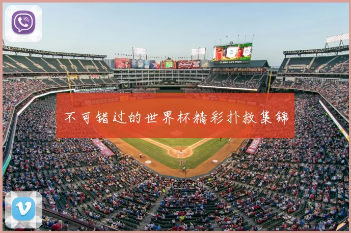 不可错过的世界杯精彩扑救集锦