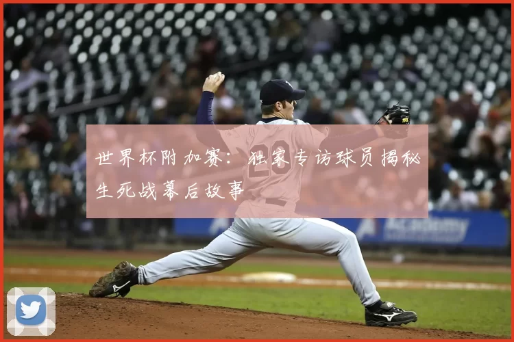 世界杯附加赛:独家专访球员揭秘生死战幕后故事