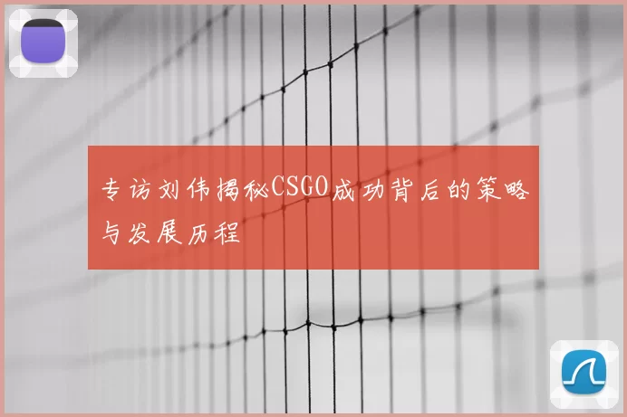 专访刘伟揭秘CSGO成功背后的策略与发展历程