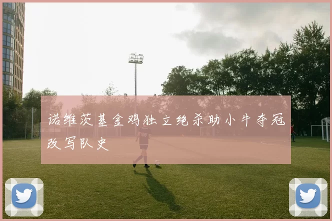 诺维茨基金鸡独立绝杀助小牛夺冠改写队史